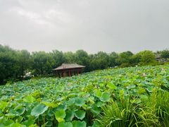 -云居湖