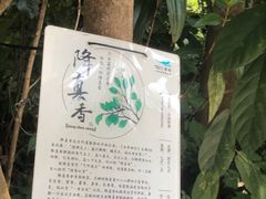 -世间香境·七溪地