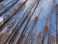 -上海怡沁园度假酒店