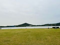-上海佘山世茂艾美酒店