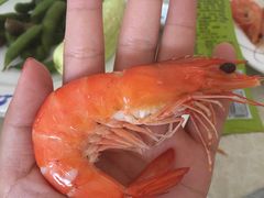 -春华海鲜城(广场西苑店)