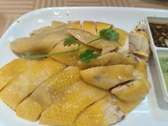 -巫记鸡饭店
