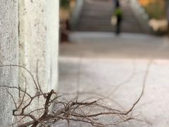 -普陀山风景名胜区-法雨禅寺