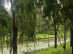 -北坞公园