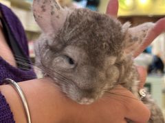 -龙猫仔乐园(惠福东路店)