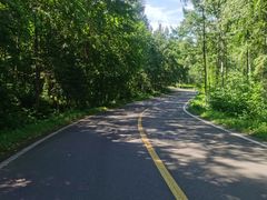 -五营红松林海景区