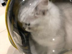 -蛙麻蛙辣炭火蛙锅(南环大街店)