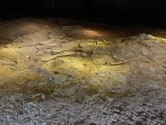 -世界恐龙谷景区