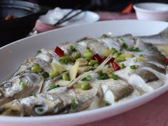 清蒸白鱼-红樽舫湖州菜.湖景餐厅(太湖渔人码头店)