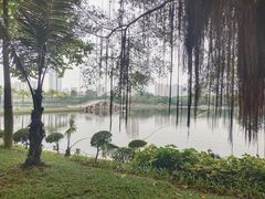 -南宁南湖公园