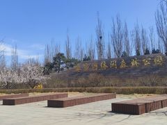 -永定河休闲森林公园