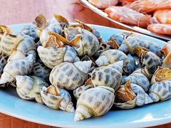 -巽寮湾
