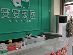 -安安宠医·安宠宠物医院