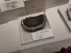 -天津自然博物馆