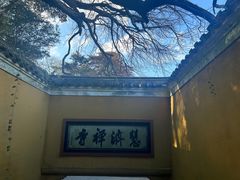 -普陀山慧济禅寺