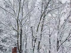 -阆辣荟餐饮(老味道8年·古城店)