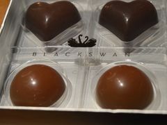 -BLACKSWAN黑天鹅(环球店)
