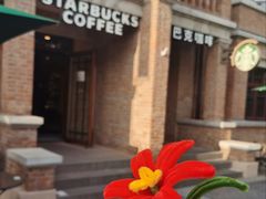 -星巴克(天津五大道店)