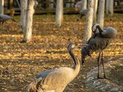 -艾溪湖湿地公园