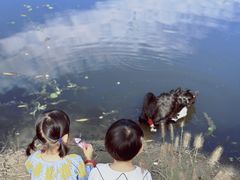 -东郊湿地公园