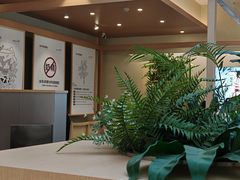 -书亦烧仙草(汇智中心概念店)