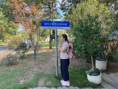 -东钱湖小普陀景区