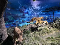 -国家自然博物馆