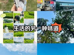 -顺德职业技术大学