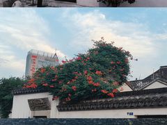 -青果巷历史文化街区