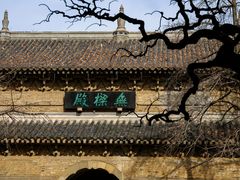 -灵谷景区