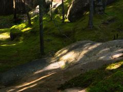 -玉苍山国家森林公园