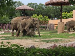 -沈阳森林动物园