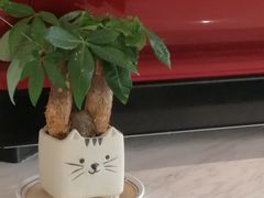 -THE PRESS(复旦大学店)