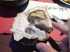 -蚝魁竹笼蒸生蚝 余杭店