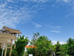 -桤木河湿地公园