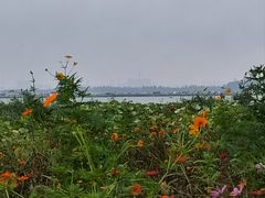 -七的湖·晚芳亭·阳澄湖农家菜·大闸蟹(莲花岛店)