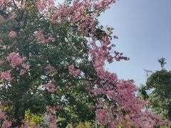 -中国移动南方基地