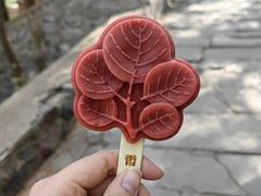 -香山公园