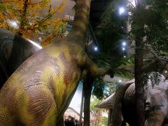 -湖南省地质博物馆