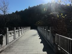 -白水寺森林公园