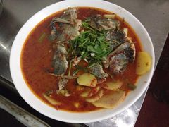 -风鑫铃罗非鱼(道沟店)