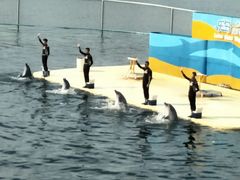 -秦皇岛乐岛海洋王国