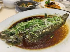 -凤城礼记鱼翅海鲜酒家(新马路总店)
