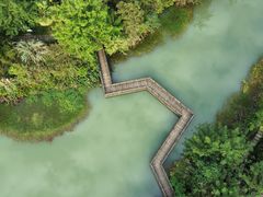 -桤木河湿地公园