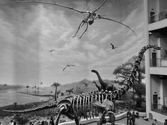 -辽宁古生物博物馆