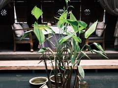 -都氏家DUSJOY(翡翠城店)