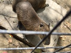 -宁波野生动物园