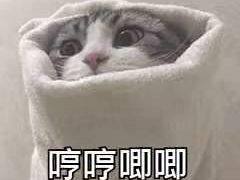 -真粥道(新华东路店)
