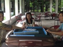 -华蓥山水杉山庄