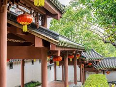 -广州神农草堂中医药博物馆
